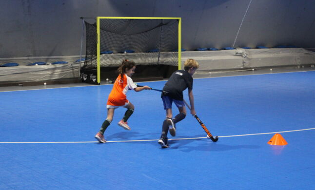 IMG 5466